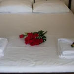 Alitocatos *