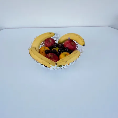 Alitocatos