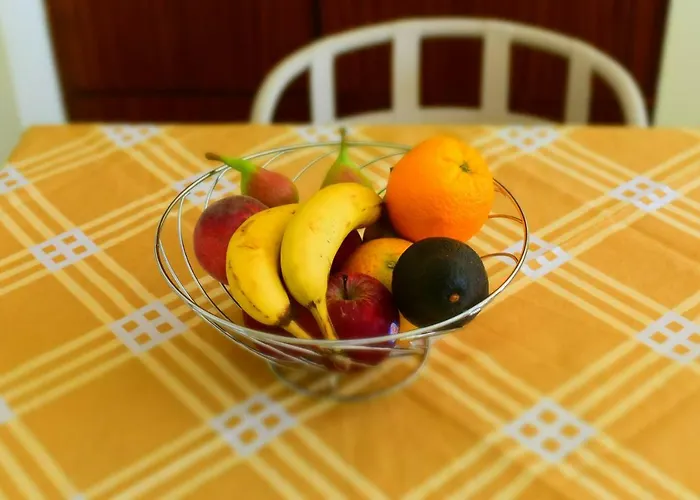 Alitocatos アパート